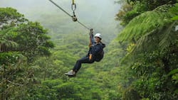 Canopy en el Cajón del Maipo: Este imperdible panorama al aire libre es perfecto para los amantes de la adrenalina