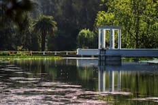 Jardín Botánico Nacional, una parada obligada en Viña del Mar: Ubicación, precios, horarios y más detalles de este gran panorama