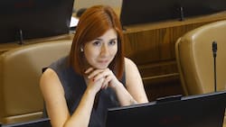 ¿Terminaron o no su relación la diputada Catalina Pérez y Daniel Andrade?: Esto dicen las pruebas
