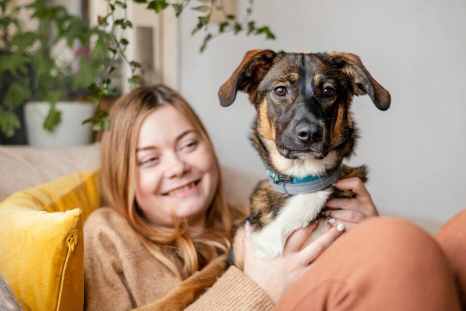 Descubre por qué tu perro se pone siempre encima tuyo.