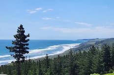 Conoce Boyeruca: La localidad costera del Maule donde el bosque y el mar se encuentran