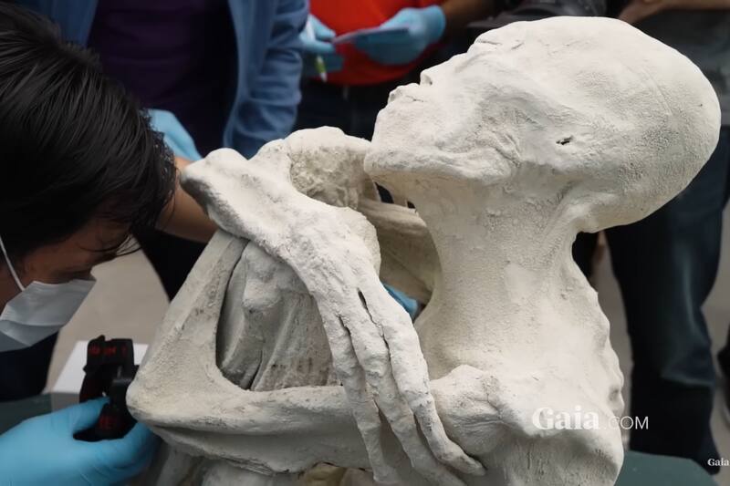 Sus extremidades tridáctilas y la extraña forma de su cráneo dio origen a la teoría de que los fósiles no eran humanos.