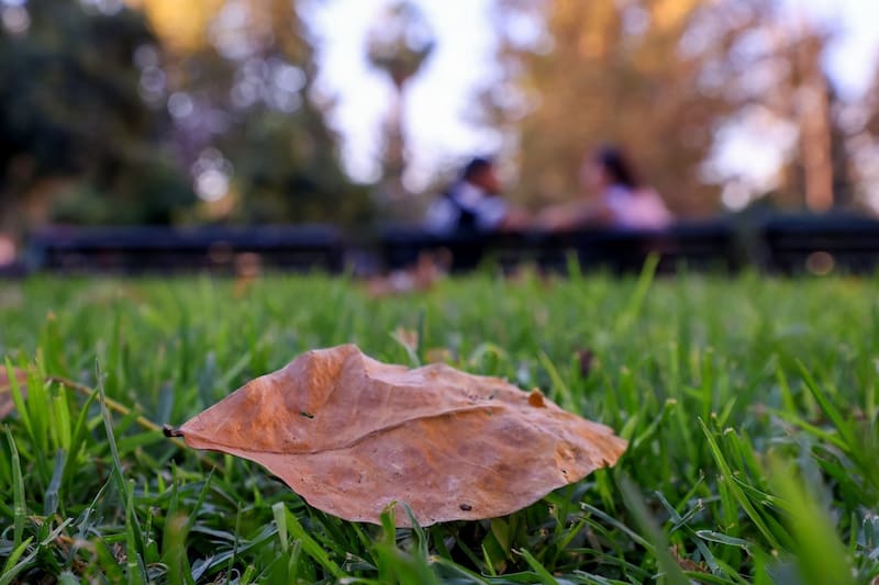 Este jueves 20 de marzo se dio inicio de manera oficial a la nueva estación.