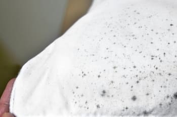 Este truco casero es perfecto para eliminar los hongos alojados en tu ropa o toallas de baño