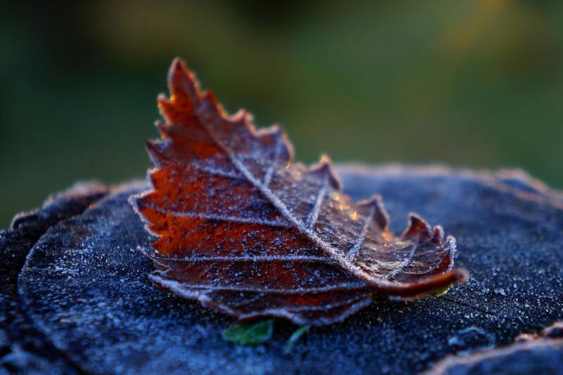 Javiera Rocha, directora del Programa de Sostenibilidad de la UTEM reveló cómo estarán los últimos días de invierno.
Créditos: UTEM.