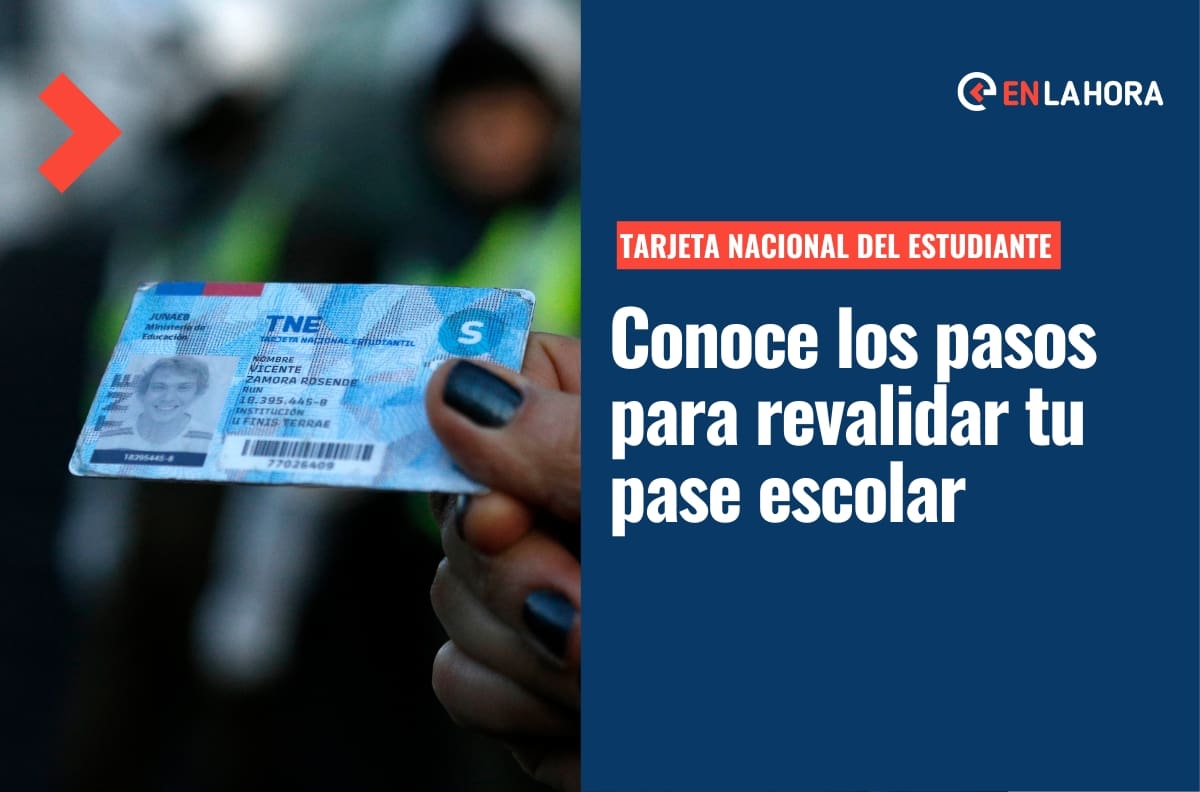 Comienza la revalidación de la TNE en la Región Metropolitana: Revisa cómo puedes hacerla acá