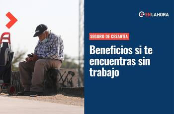 Seguro de Cesantía: Consulta los beneficios a los que puedes acceder si no tienes trabajo