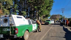 Nuevo enfrentamiento armado en Carahue: reportan dos fallecidos en el lugar