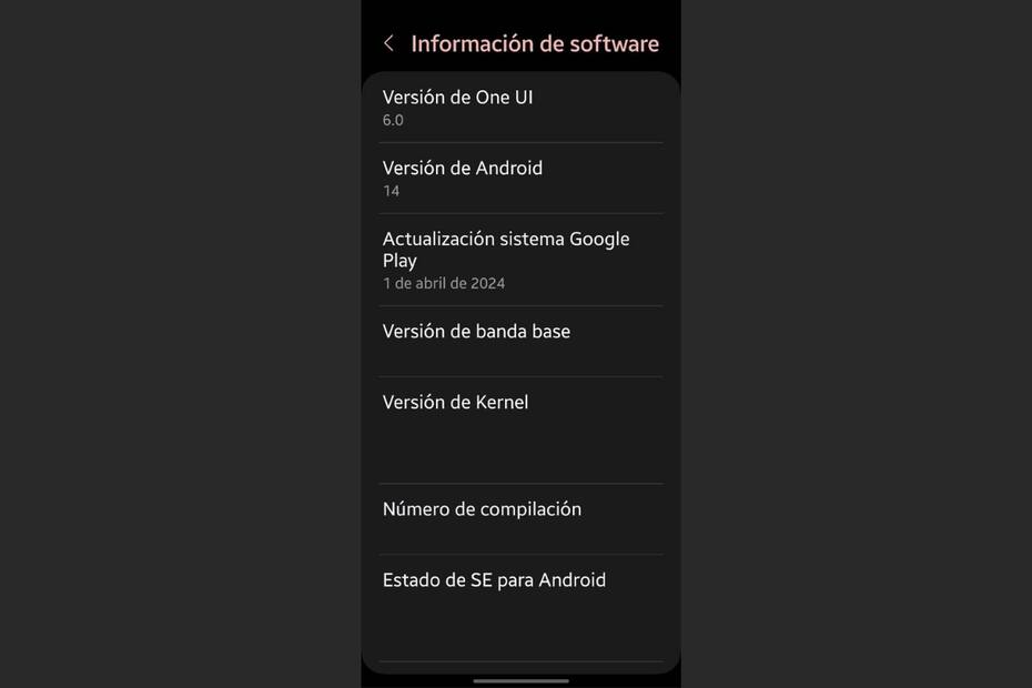 Podrás ver varios datos de tu teléfono además de la versión de Android.