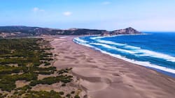 Tocopalma: la playa escondida a pocas horas de Santiago, ideal para la última escapada del verano