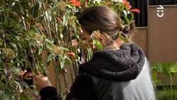 “Ya estoy tirando la toalla”: Constanza Capelli revela su agotamiento mental en “Gran Hermano” Chile