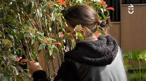 En una sesión de “terapia del árbol” de La Pincoya, Constanza Capelli se sinceró y contó más detalles del deplorable estado mental que está viviendo.