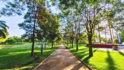 Un oasis dentro de la RM: el parque gratuito con laguna artificial en el que se puede despedir el verano