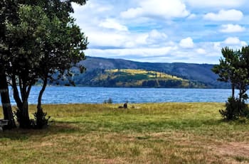 A menos de 3 horas de Concepción: Este camping con piscina es un imperdible para visitar los días más calurosos del año