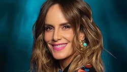 “Plan Perfecto”: Fecha de estreno, panelistas y secciones del nuevo programa de farándula de CHV