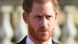 La razón por la que el príncipe Harry no podrá ejercer un cargo temporal en la monarquía británica