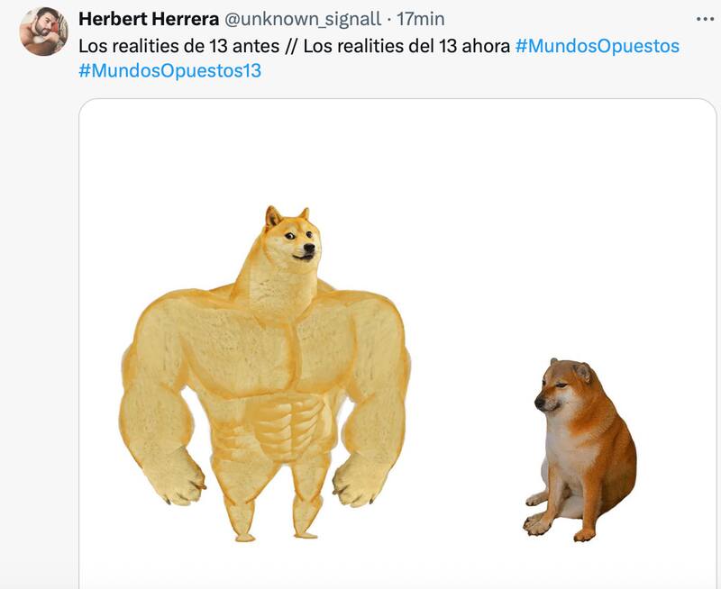 Los mejores memes.