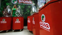 Resultados del sorteo 5390 del Loto: ¡2 jugadores ganaron $14.675.790!