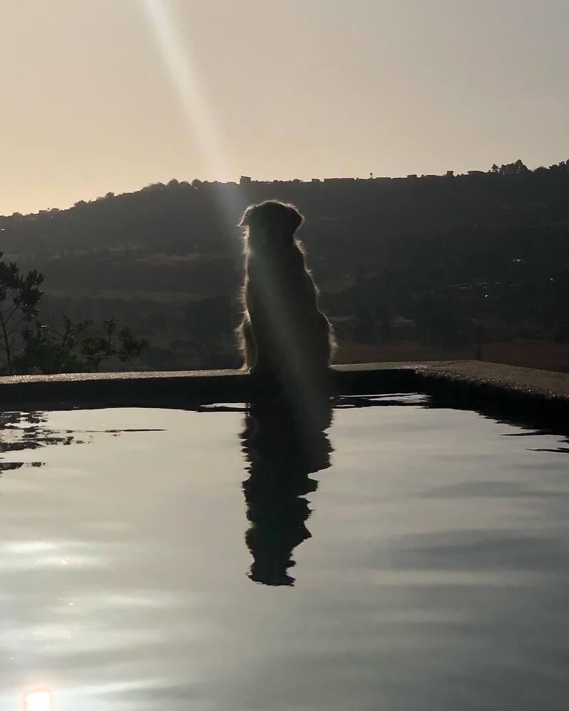 Aquí se le ve de forma íntima sentada hacia el horizonte.
