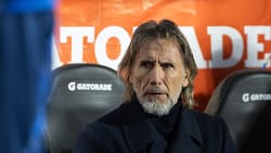 A Gareca no le queda otra que ofrecerse: se postuló para dirigir a un gigante en crisis