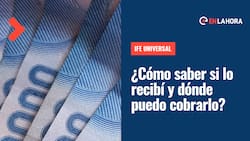 IFE Universal: ¿Cómo saber si lo recibí, dónde puedo cobrarlo y hasta cuándo puedo hacerlo?