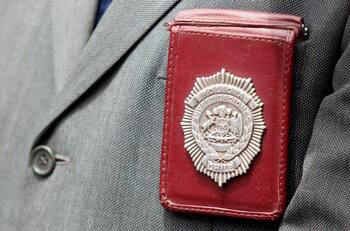 Perro fue atacado brutalmente con un cuchillo en su cabeza en Puente Alto: PDI investiga el hecho