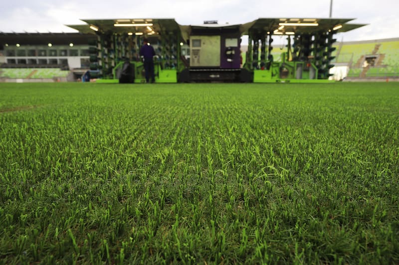 Así está quedando el nuevo césped del Elías Figueroa Brander. Foto: Aton