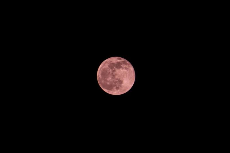 Este mes se verá la Luna Rosa.