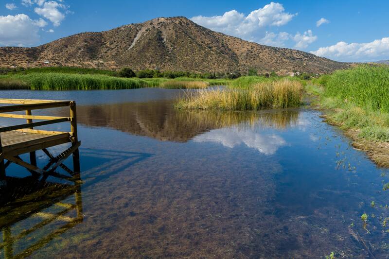 El cuerpo de agua es uno de los más importantes de la Región Metropolitana, donde la paz reina para dar espacio a la vida silvestre. Créditos: Santuario Laguna Batuco.