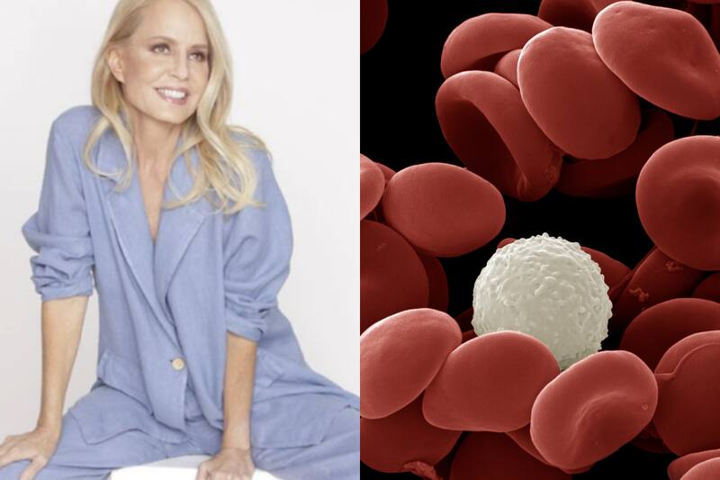 Foto de redes sociales de Cecilia Bolocco y glóbulos blancos en la sangre/ Instagram y Getty Images