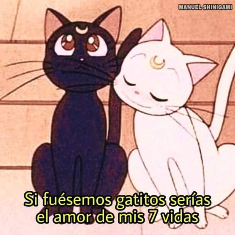 Expresa tu amor con esas imágenes.