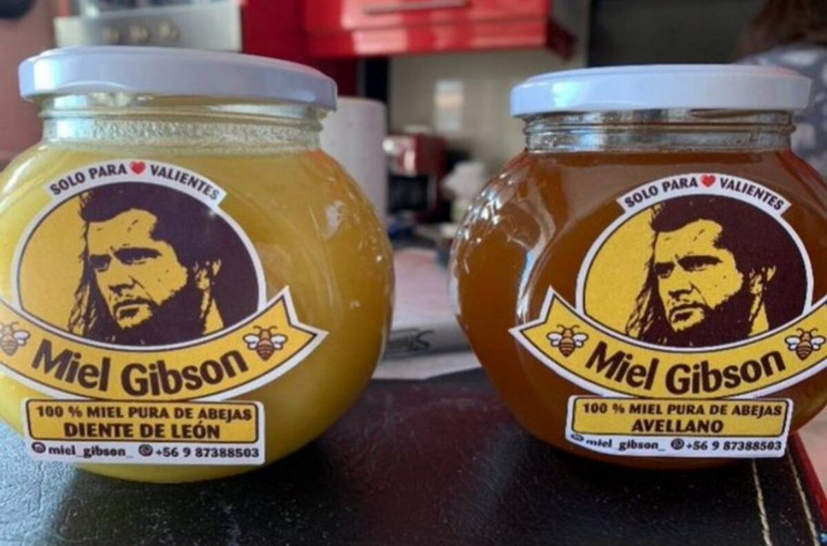 Miel Gibson presentó el renovado logo de su marca