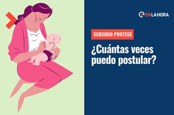 Subsidio Protege: ¿Cuántas veces puedo postular a este beneficio y cómo apelar si no lo recibo?
