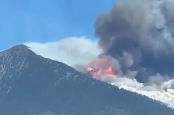 VIDEO | Voraz incendio forestal afecta a Arizona en medio de altísimas temperaturas