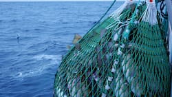 Abre la subasta anual de Subpesca: Estas son las fechas clave y criterios esenciales para participar