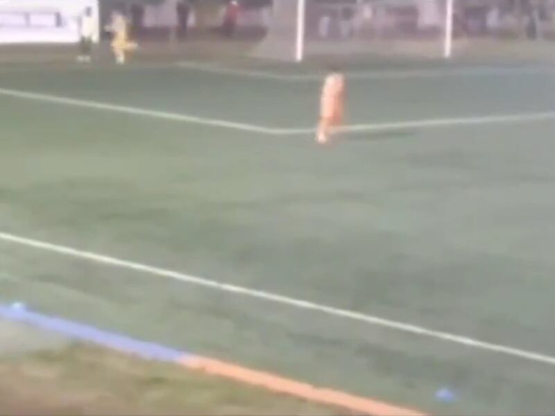 VIDEO | Polémica jugada de Paulo Garcés en Copa Chile: denuncian agresión