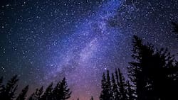 Descubre las estrellas de mayo: se verán 7 constelaciones y brillantes luceros desde Chile