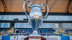 Aseguraron títulos y ascensos: el positivo impacto que tuvo la Copa Biobío en el cierre de la temporada 2025