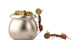 “No gaste más de lo que usted reciba”: Jorge Berríos, Director Académico del Diplomado en Finanzas FEN de la Universidad de Chile sobre los gastos hormigas