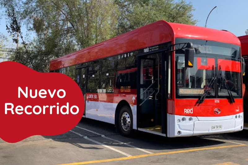 Descubre cuáles nuevos buses han salido este año.