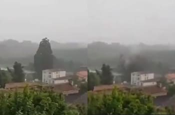 VIDEO | Rayo impacta y destruye árbol de 33 metros en Francia