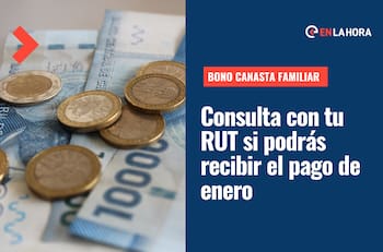 Bono Canasta Familiar 2023: Consulta con tu RUT si podrás recibir el pago de enero