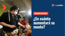 Subsidio Mipymes: Revisa en cuánto aumentarán sus montos a partir de este 1 de agosto