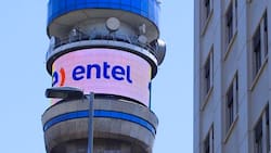 Entel impulsa nuevo negocio en este país de América Latina: espera generar más de US$24 millones a 2028