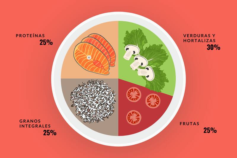 Según Harvard, estas son las proporciones que debe tener cada plato de comida para alimentarnos de forma balanceada.