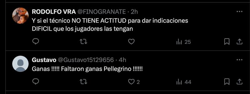 Cuestionaron a Mauricio Pellegrino.