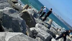 Caso Anahí Espíndola: Encuentran cuerpo sin vida en Viña del Mar durante búsqueda de joven desaparecida