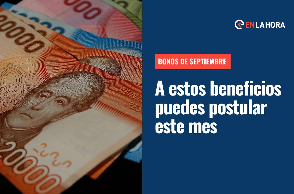 Bonos para postular en septiembre: Conoce a los beneficios que puedes acceder durante este mes