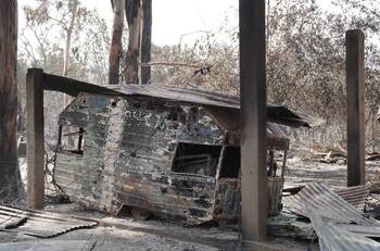 VIDEO | Incendio forestal en Villa Alemana: Alcaldesa anuncia querella criminal contra responsables