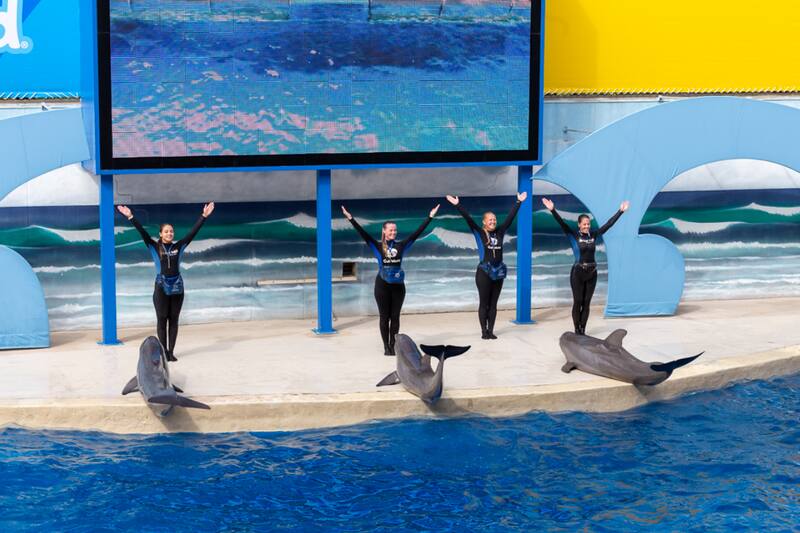 El parque acuático se declaró en quiebra y fue puesto en venta.